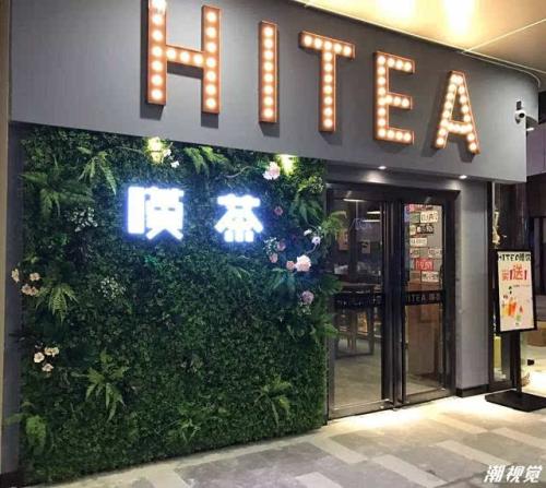 捷报比分